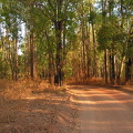 Im Kakadu National Park
